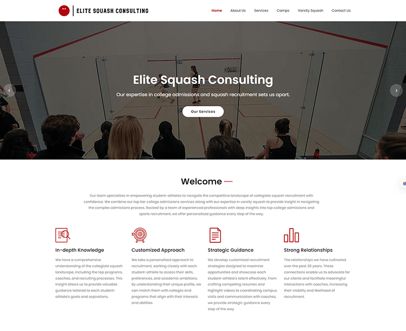 lite Squash Consulting